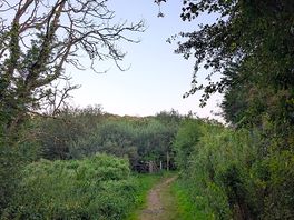 Walk to the beach/castle