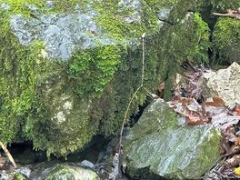 Brook at chelmorton starting point of walk