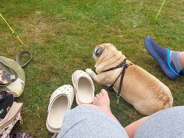 Me and the dog