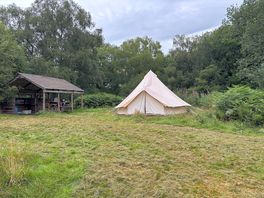 Tawny owl yurt and kitchen area