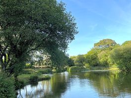 A lovely walk around the fishing lakes