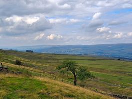 Beautiful yorkshire.