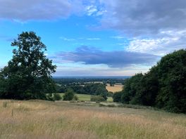 Campsite view