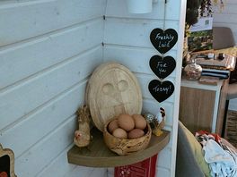 Fresh eggs