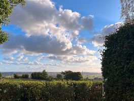 What a view