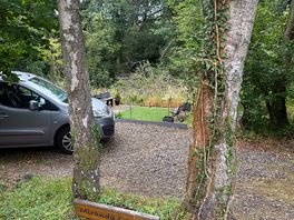 Around the site
