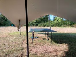 Table tennis table