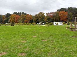 My little caravan right on the edge of the forest at the beautiful sherwood pines caravan park