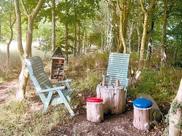 Shady woodland chilling area
