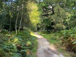 Path from the campsite