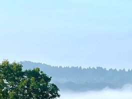 Morning fog