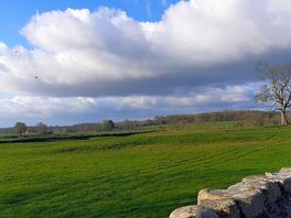 Fields around site.