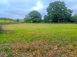 Grass camping meadow