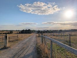 Road in