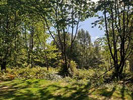 Gorgeous campsite