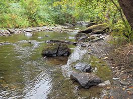 A walk up the river