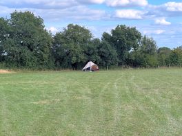 View of the field