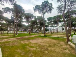 Medium-size caravan pitch