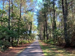 Cycling to the nearby lake, beautiful scenery