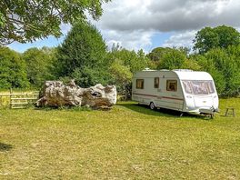 Camping pitch surrounded by greenery