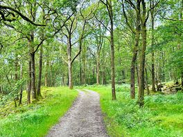 Path to lake from site