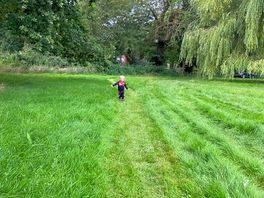 Peaceful countryside