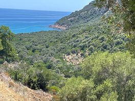 Strada arrivando al campeggio