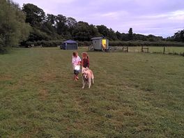 Walking the dog