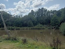 Fishing lake.