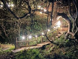 Stairs up to pod