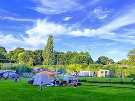 Grass pitches