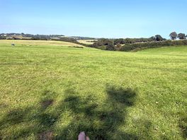 Beautiful undulating slopes of the camping field.