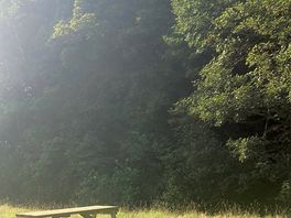 The bench in the sun!