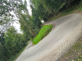 Hill down to the woods entrance