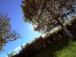 Beautiful morning