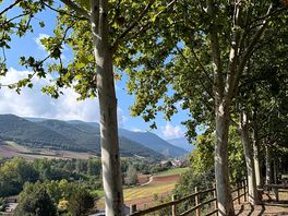 View above campsite