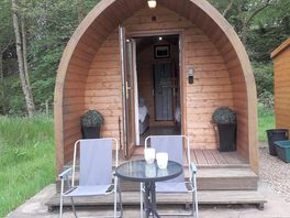 The pod