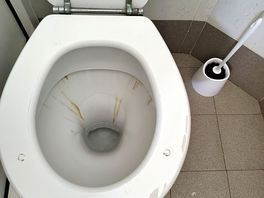 Toilet in the shower area