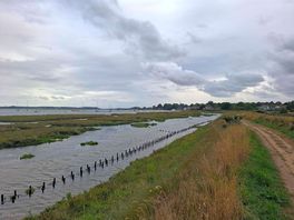 Local dog walk by the deben