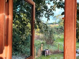 View from the kitchen window