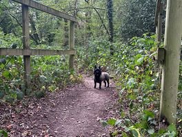 Bridleway