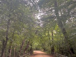 Fantastic scenery’s