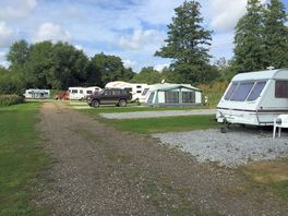 Alongside Ashford Lake, summer 2015