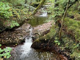 River running at edge of site