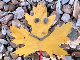 Happy face