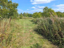 Orchard