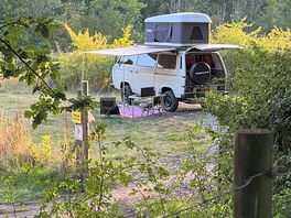 T3 syncro