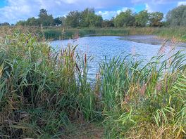 Fishing lake