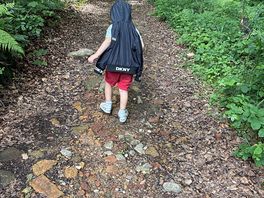 Grandson loved the walks