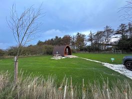 Huge grassed area